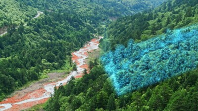 Hillside with digital terrain effects