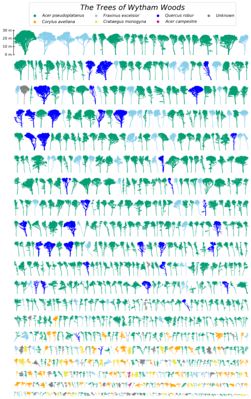 Point clouds from Wytham Woods scans
